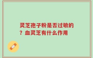 灵芝孢子粉是否过敏的？血灵芝有什么作用