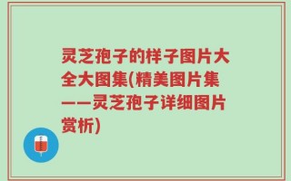灵芝孢子的样子图片大全大图集(精美图片集——灵芝孢子详细图片赏析)