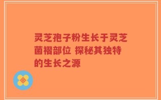 灵芝孢子粉生长于灵芝菌褶部位 探秘其独特的生长之源