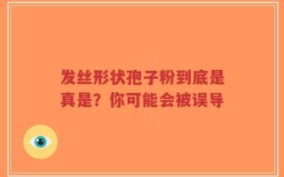发丝形状孢子粉到底是真是？你可能会被误导