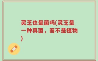 灵芝也是菌吗(灵芝是一种真菌，而不是植物)