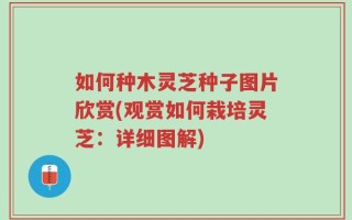 如何种木灵芝种子图片欣赏(观赏如何栽培灵芝：详细图解)
