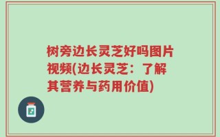 树旁边长灵芝好吗图片视频(边长灵芝：了解其营养与药用价值)