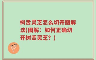 树舌灵芝怎么切开图解法(图解：如何正确切开树舌灵芝？)