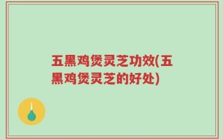 五黑鸡煲灵芝功效(五黑鸡煲灵芝的好处)