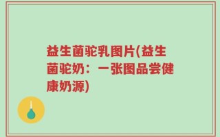 益生菌驼乳图片(益生菌驼奶：一张图品尝健康奶源)