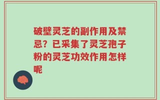 破壁灵芝的副作用及禁忌？已采集了灵芝孢子粉的灵芝功效作用怎样呢