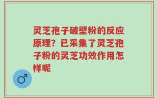 灵芝孢子破壁粉的反应原理？已采集了灵芝孢子粉的灵芝功效作用怎样呢