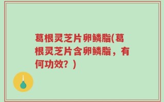 葛根灵芝片卵鳞脂(葛根灵芝片含卵鳞脂，有何功效？)