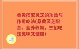 桑黄搭配灵芝的功效与作用吃法(桑黄灵芝配合，营养养颜，三招吃法美味又健康)