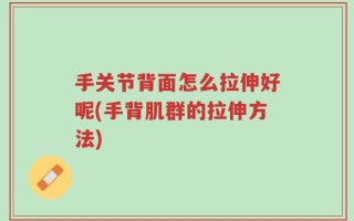 手关节背面怎么拉伸好呢(手背肌群的拉伸方法)