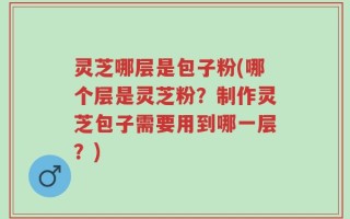 灵芝哪层是包子粉(哪个层是灵芝粉？制作灵芝包子需要用到哪一层？)