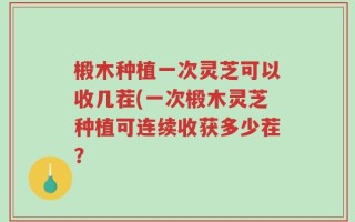 椴木种植一次灵芝可以收几茬(一次椴木灵芝种植可连续收获多少茬？