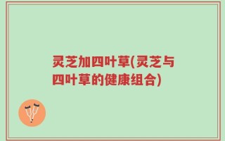 灵芝加四叶草(灵芝与四叶草的健康组合)
