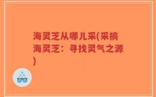 海灵芝从哪儿采(采摘海灵芝：寻找灵气之源)