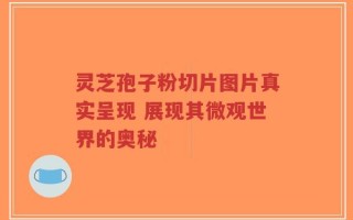 灵芝孢子粉切片图片真实呈现 展现其微观世界的奥秘