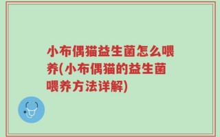小布偶猫益生菌怎么喂养(小布偶猫的益生菌喂养方法详解)