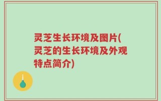 灵芝生长环境及图片(灵芝的生长环境及外观特点简介)