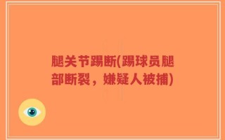 腿关节踢断(踢球员腿部断裂，嫌疑人被捕)
