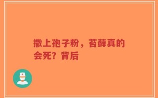 撒上孢子粉，苔藓真的会死？背后
