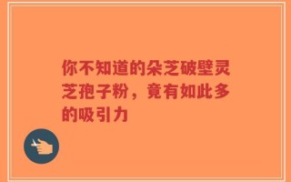 你不知道的朵芝破壁灵芝孢子粉，竟有如此多的吸引力