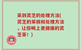 采到灵芝的处理方法(灵芝的采摘和处理方法，让你喝上更健康的灵芝茶！)