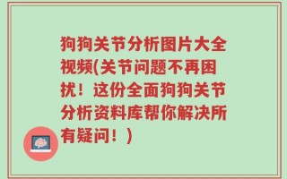 狗狗关节分析图片大全视频(关节问题不再困扰！这份全面狗狗关节分析资料库帮你解决所有疑问！)