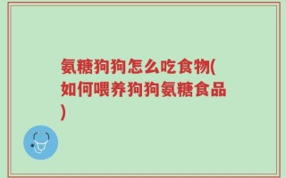 氨糖狗狗怎么吃食物(如何喂养狗狗氨糖食品)