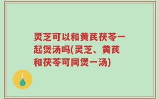灵芝可以和黄芪茯苓一起煲汤吗(灵芝、黄芪和茯苓可同煲一汤)