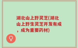 湖北山上野灵芝(湖北山上野生灵芝开发有成，成为重要药材)