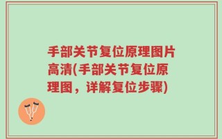 手部关节复位原理图片高清(手部关节复位原理图，详解复位步骤)