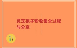 灵芝孢子粉收集全过程与分享
