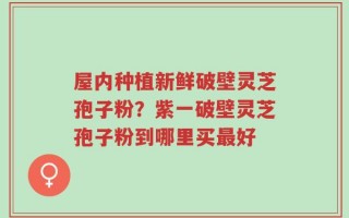 屋内种植新鲜破壁灵芝孢子粉？紫一破壁灵芝孢子粉到哪里买最好
