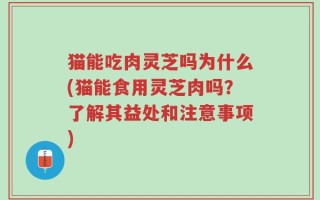 猫能吃肉灵芝吗为什么(猫能食用灵芝肉吗？了解其益处和注意事项)