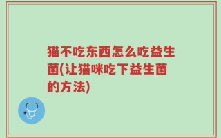 猫不吃东西怎么吃益生菌(让猫咪吃下益生菌的方法)