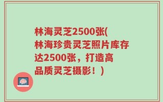林海灵芝2500张(林海珍贵灵芝照片库存达2500张，打造高品质灵芝摄影！)