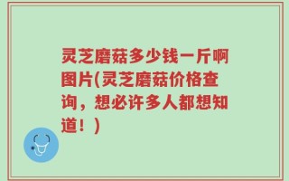 灵芝磨菇多少钱一斤啊图片(灵芝磨菇价格查询，想必许多人都想知道！)