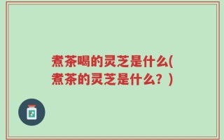 煮茶喝的灵芝是什么(煮茶的灵芝是什么？)