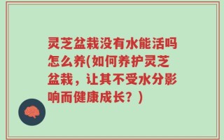 灵芝盆栽没有水能活吗怎么养(如何养护灵芝盆栽，让其不受水分影响而健康成长？)