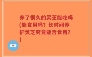 养了很久的灵芝能吃吗(能食用吗？长时间养护灵芝究竟能否食用？)