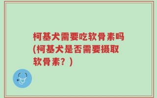 柯基犬需要吃软骨素吗(柯基犬是否需要摄取软骨素？)