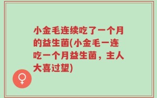 小金毛连续吃了一个月的益生菌(小金毛一连吃一个月益生菌，主人大喜过望)