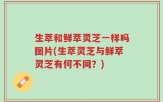 生萃和鲜萃灵芝一样吗图片(生萃灵芝与鲜萃灵芝有何不同？)