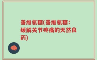 善维氨糖(善维氨糖：缓解关节疼痛的天然良药)