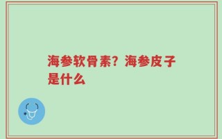 海参软骨素？海参皮子是什么