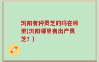 浏阳有种灵芝的吗在哪里(浏阳哪里有出产灵芝？)