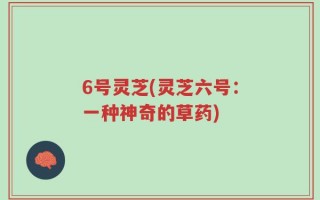 6号灵芝(灵芝六号：一种神奇的草药)