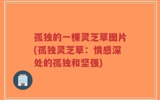 孤独的一棵灵芝草图片(孤独灵芝草：情感深处的孤独和坚强)