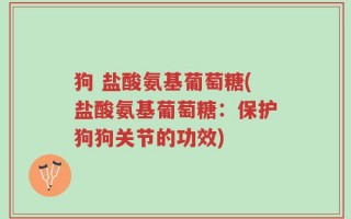狗 盐酸氨基葡萄糖(盐酸氨基葡萄糖：保护狗狗关节的功效)