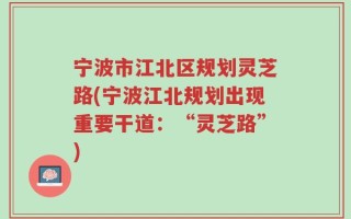 宁波市江北区规划灵芝路(宁波江北规划出现重要干道：“灵芝路”)
